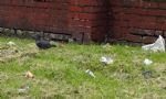 Welcome to Charlestown Play Area Salford